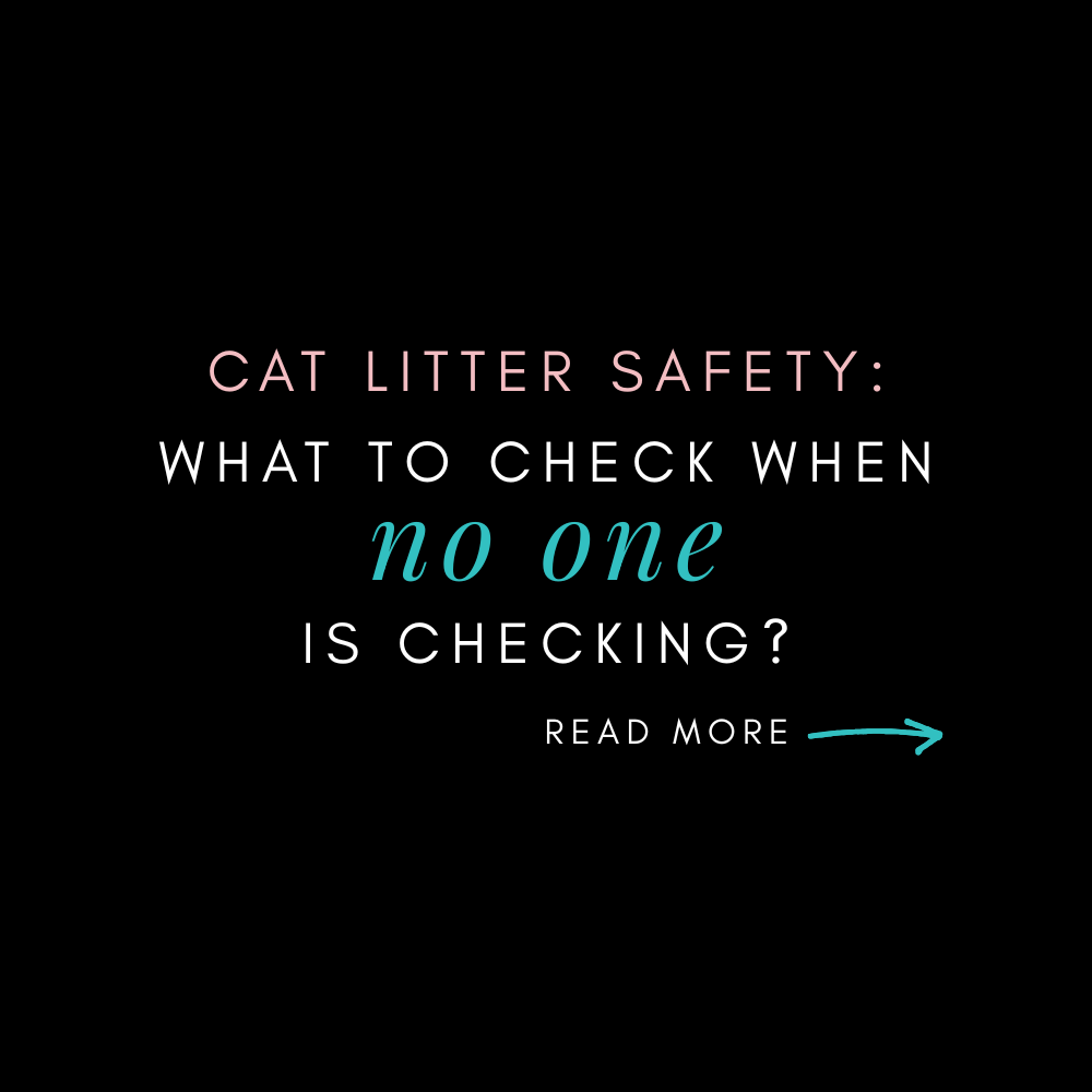 Cat Litter Safety: What to check when no one is checking
