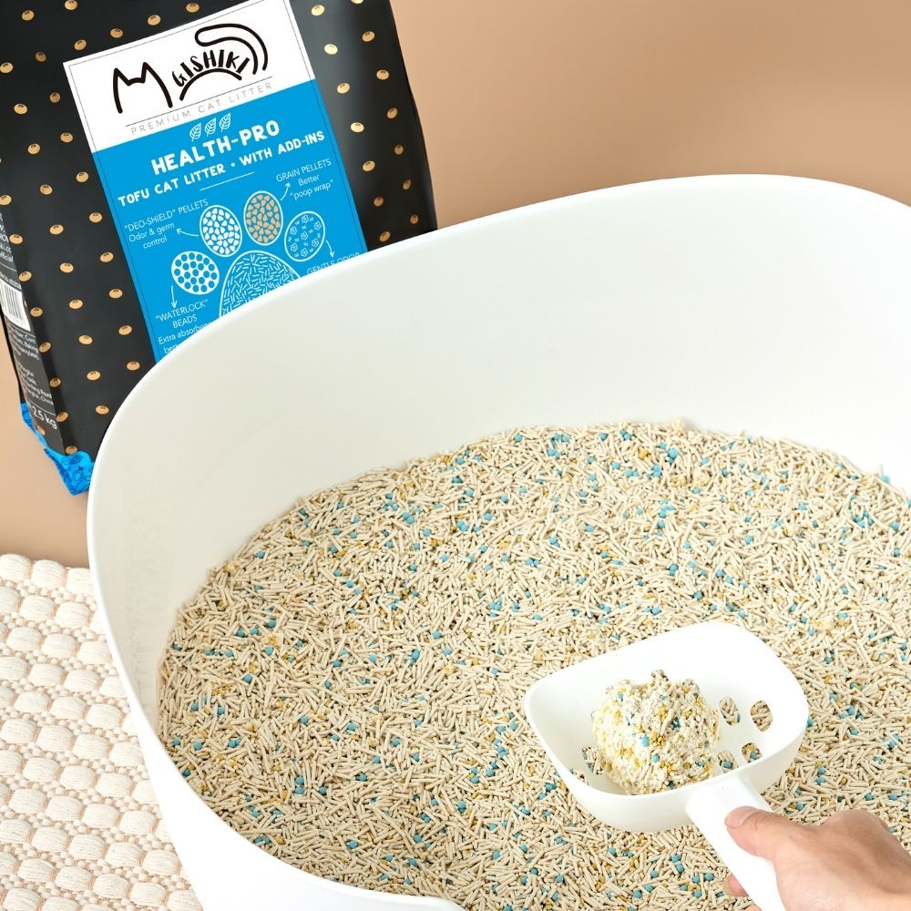 LITTER BOX: The Place Where Your Cat’s Health Begins