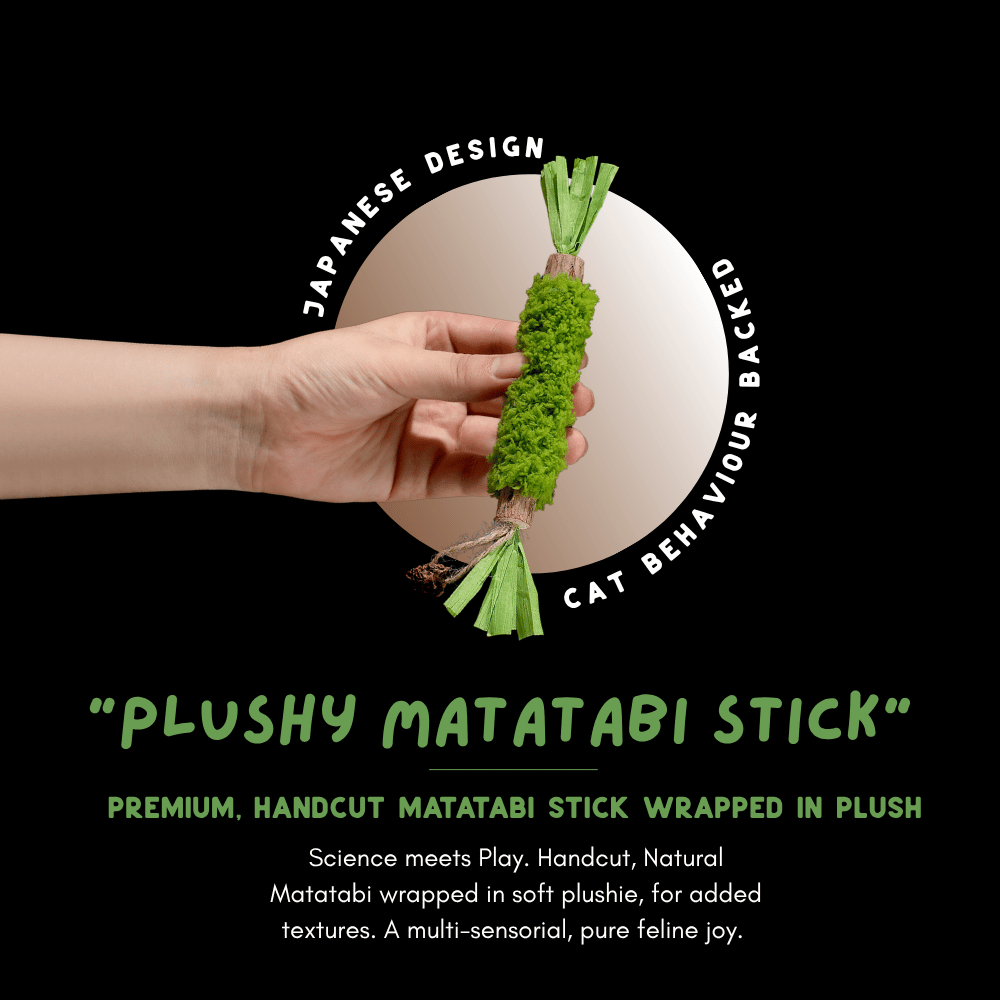 "Plushy Matatabi" - Premium Chew Stick (Forest Green)