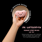 "Mr. Watermelon" Catnip Infused Toy