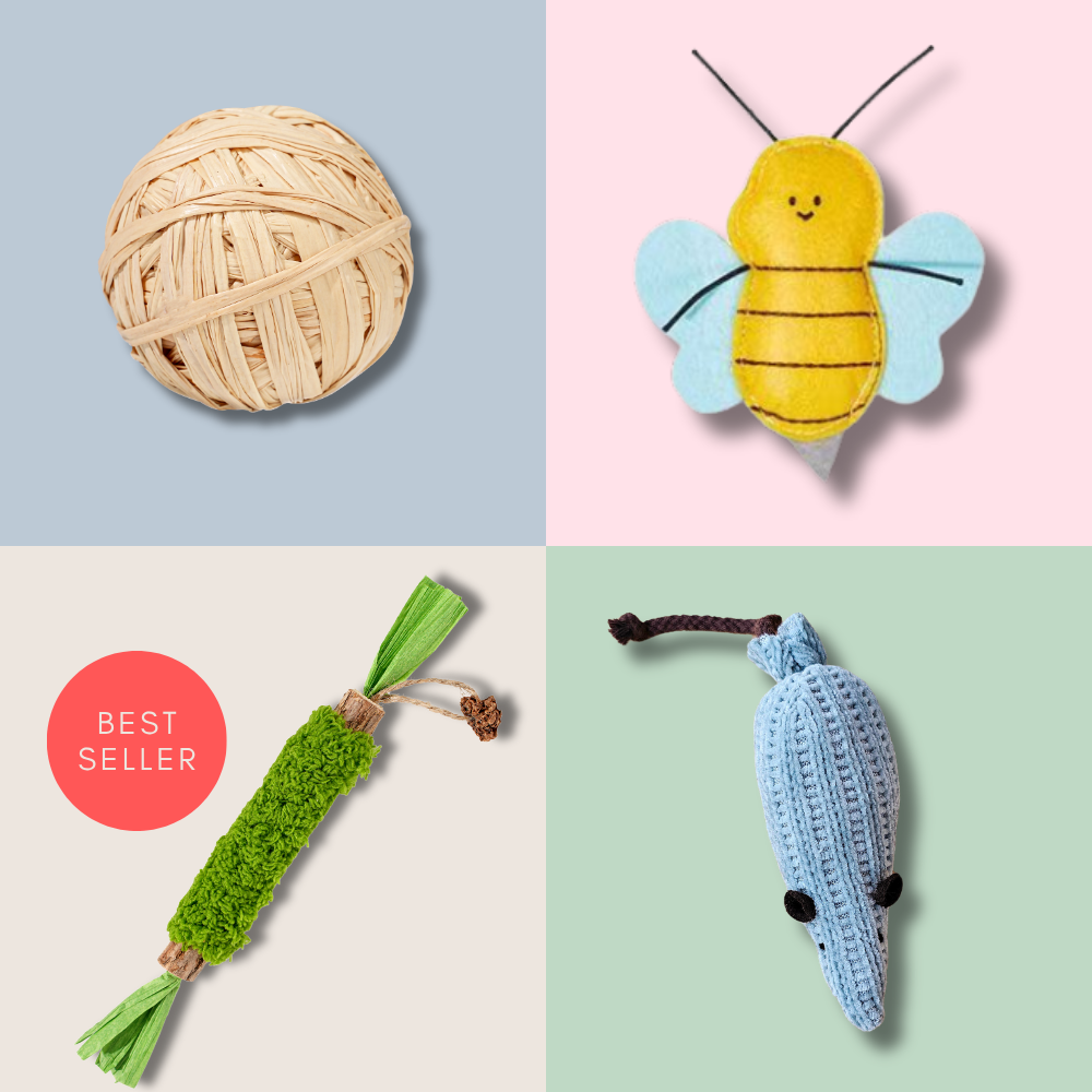 "Kickstarter" Enrichment Toy Bundle (4 Toys)