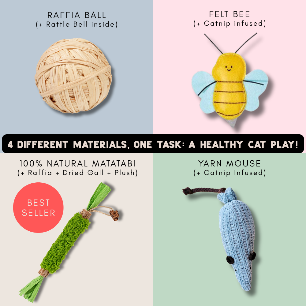 "Kickstarter" Enrichment Toy Bundle (4 Toys)