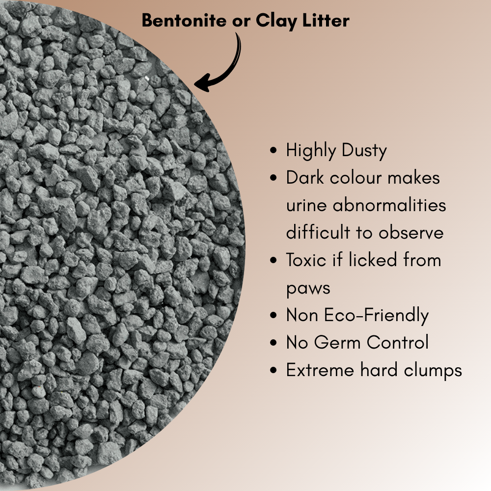 Health-Pro Premium Cat Litter