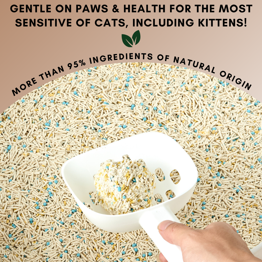 Health-Pro Premium Cat Litter