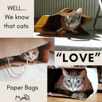 "Popcorn" Enrichment Paper Bag for Cats