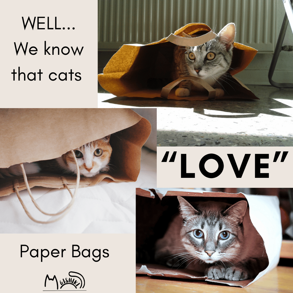"Popcorn" Enrichment Paper Bag for Cats