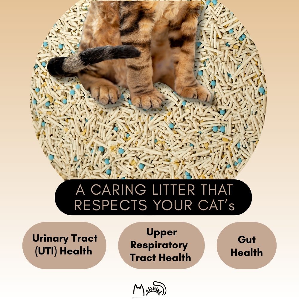 Health-Pro Premium Cat Litter