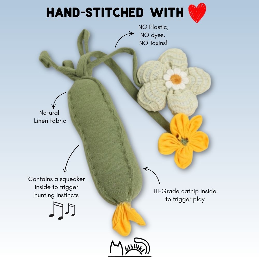 "Zuchhini" Catnip Infused Toy