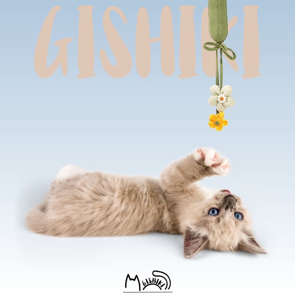 "Zuchhini" Catnip Infused Toy