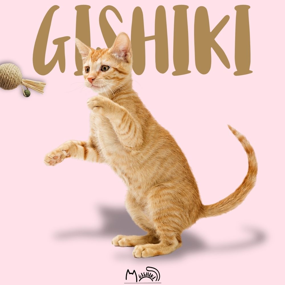 "Toffee Ball" Raffia & Catnip Toy