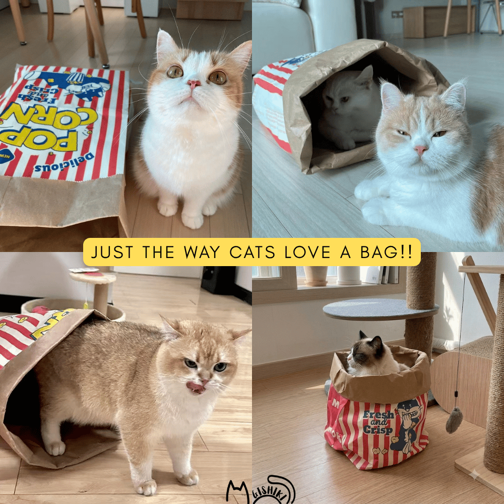 "Popcorn" Enrichment Paper Bag for Cats