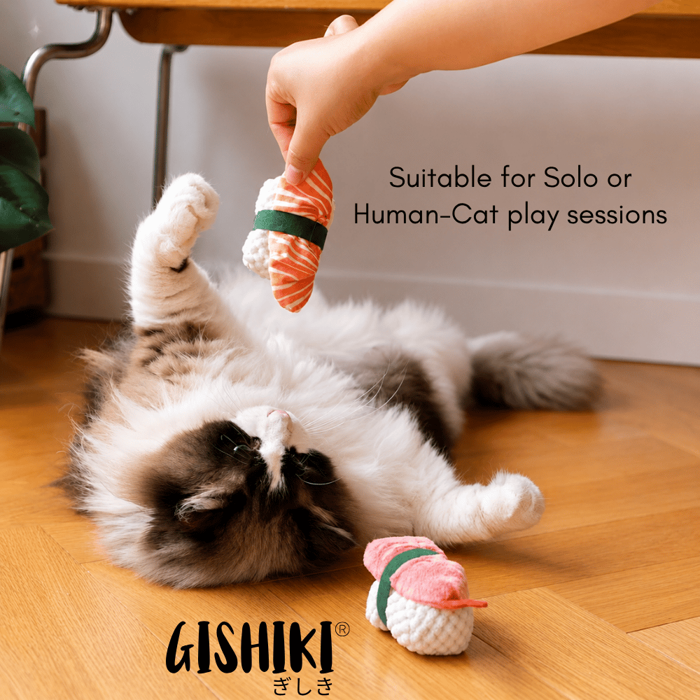 "Catnip Sushi" Multi-Texture Cat toy (Set of 2) - FlexiPlay