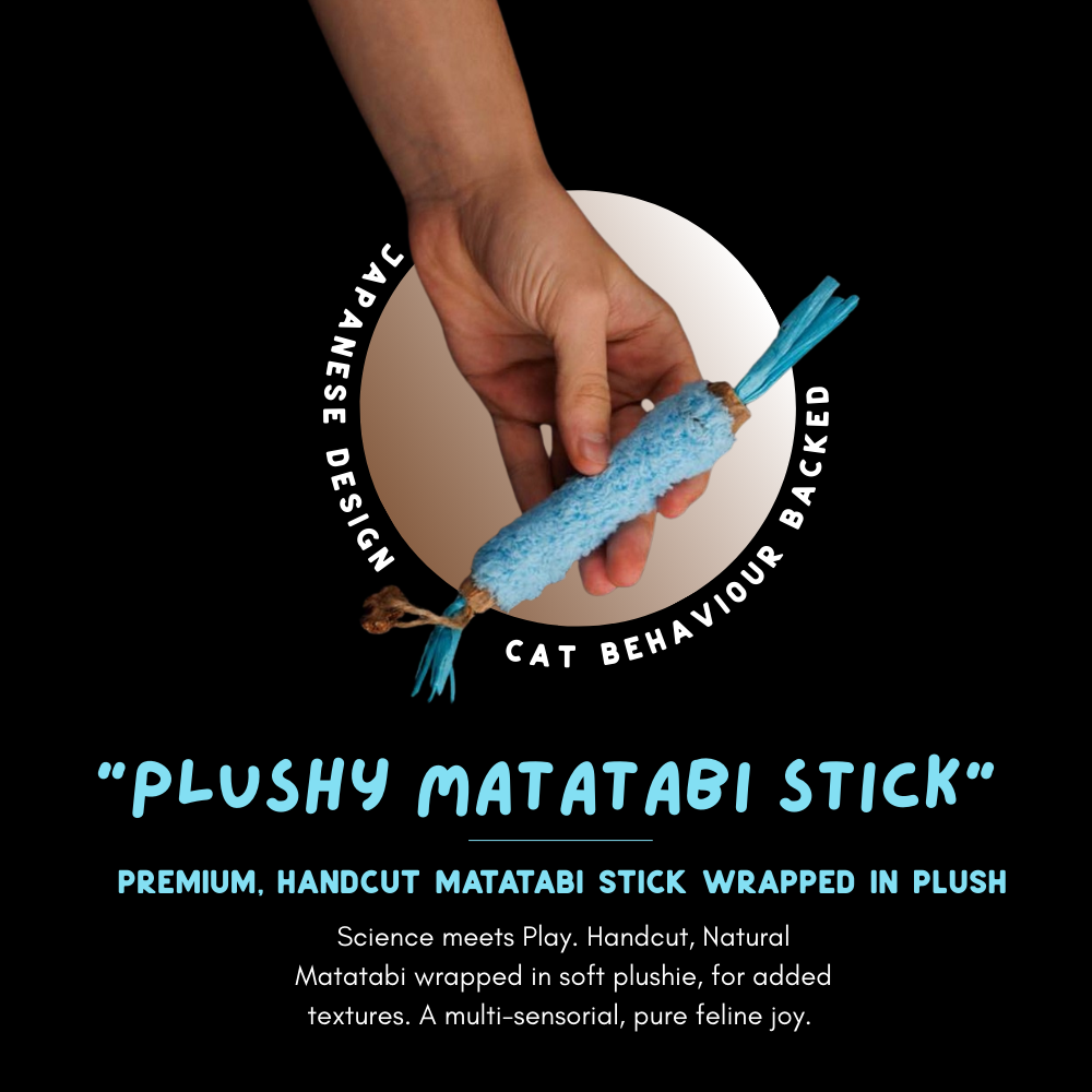 "Plushy Matatabi" - Premium Chew Stick (PACK OF 2) - NEW COLOUR